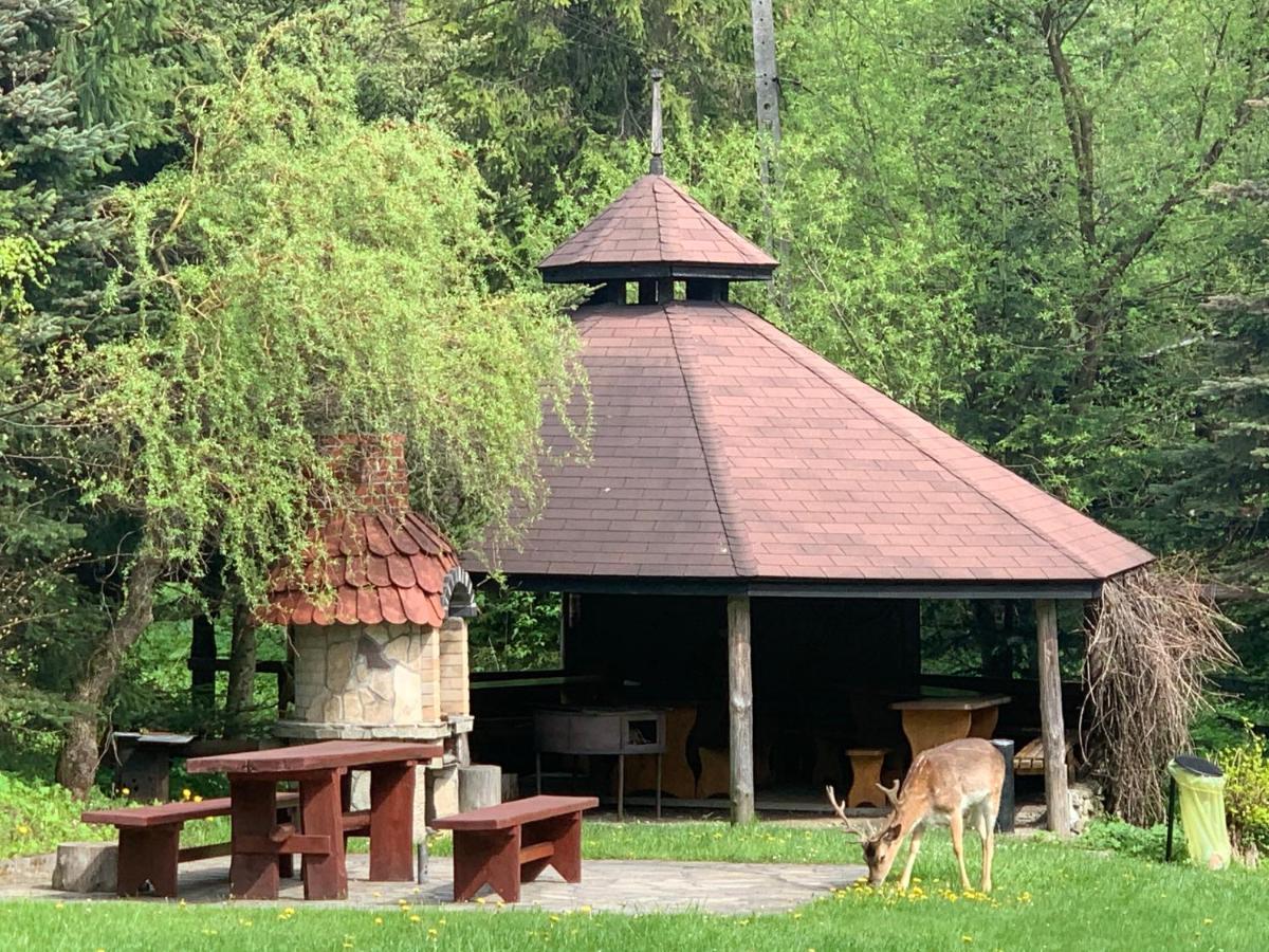 Bed and Breakfast Gosciniec Pod Smrekami Czorsztyn Esterno foto